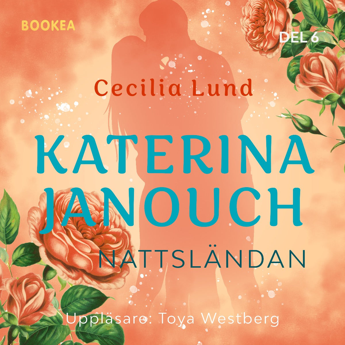 Nattsla¨ndan – Ljudbok