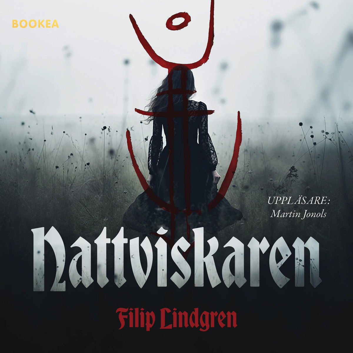 Nattviskaren – Ljudbok