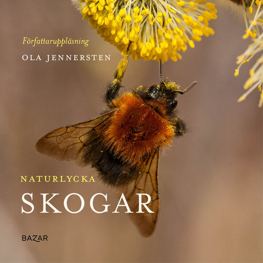 Naturlycka - Skogar – Ljudbok