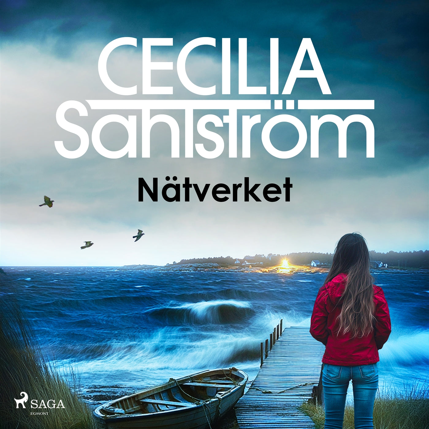 Nätverket – Ljudbok