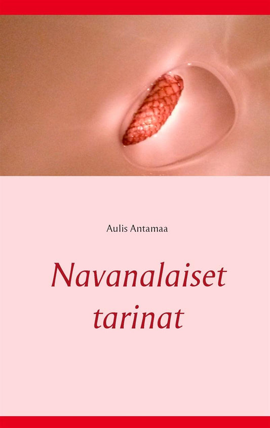 Navanalaiset tarinat – E-bok