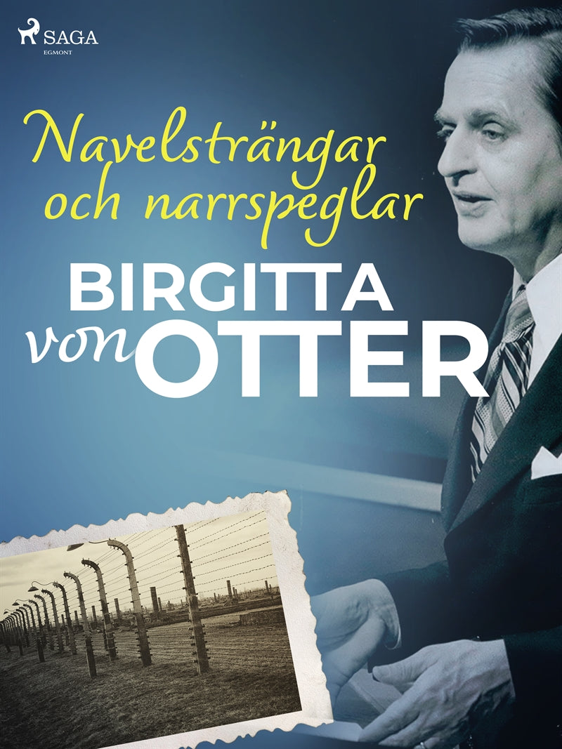 Navelsträngar och narrspeglar – E-bok