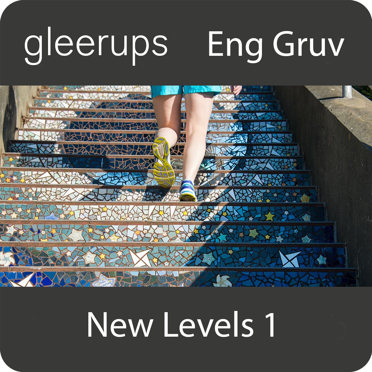 New Levels 1, 2:a upplagan, digitalt läromedel, elev, 12 mån