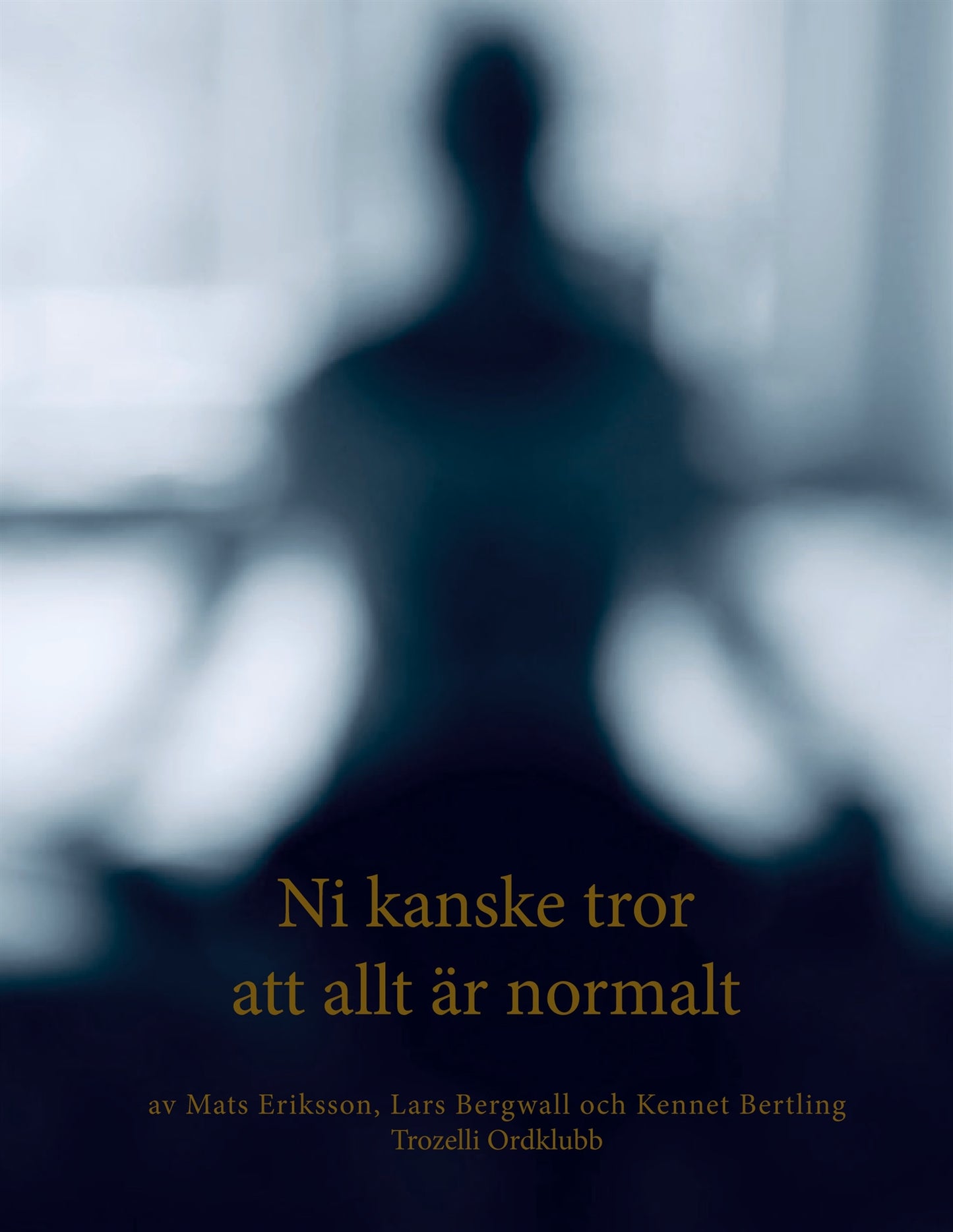 Ni kanske tror att allt är normalt – E-bok