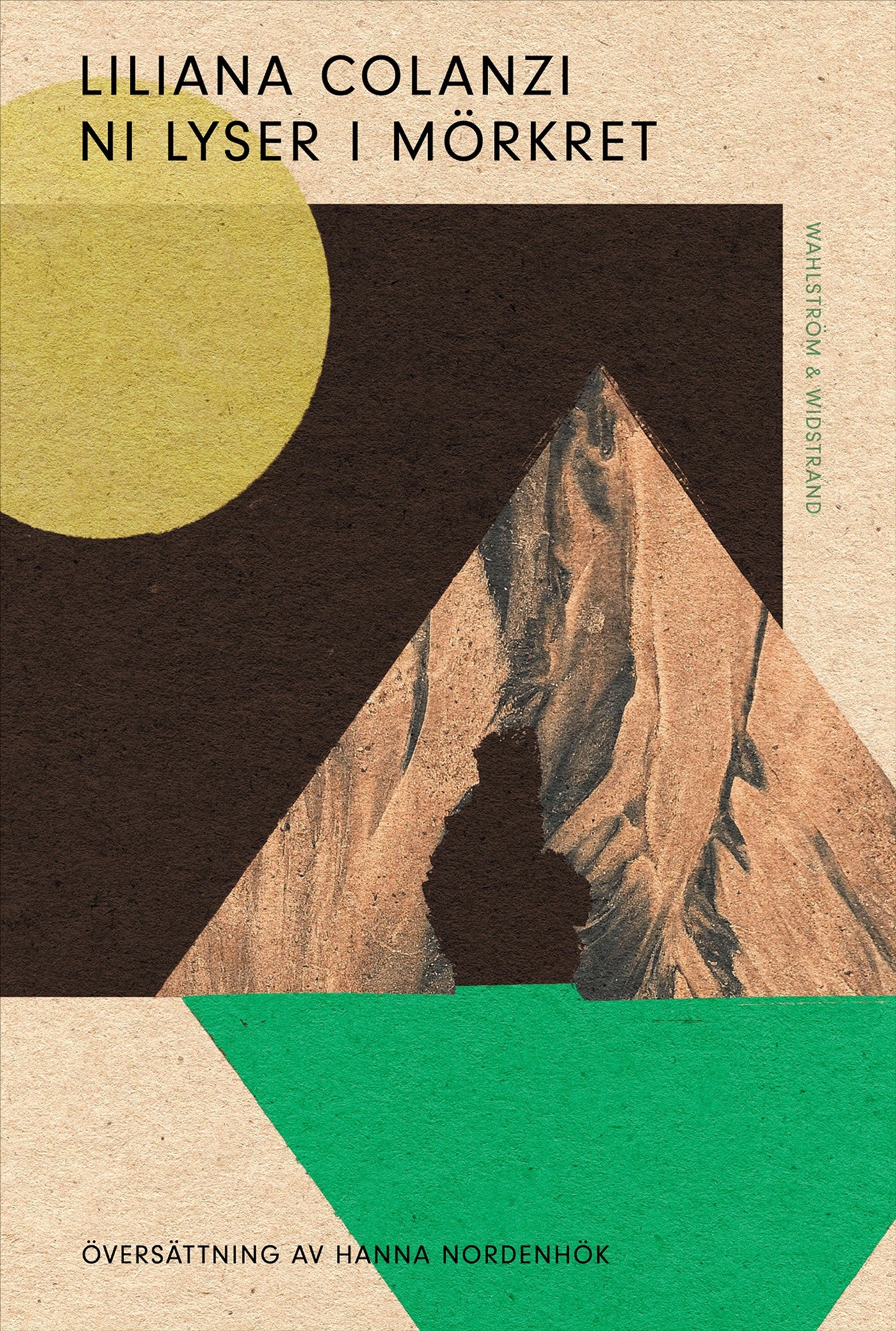 Ni lyser i mörkret – E-bok