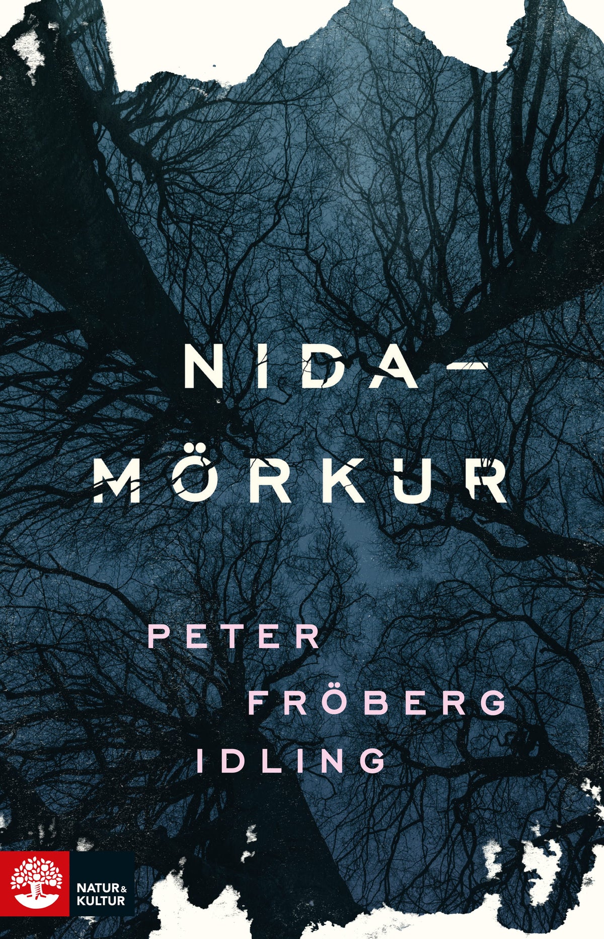 Nidamörkur – E-bok