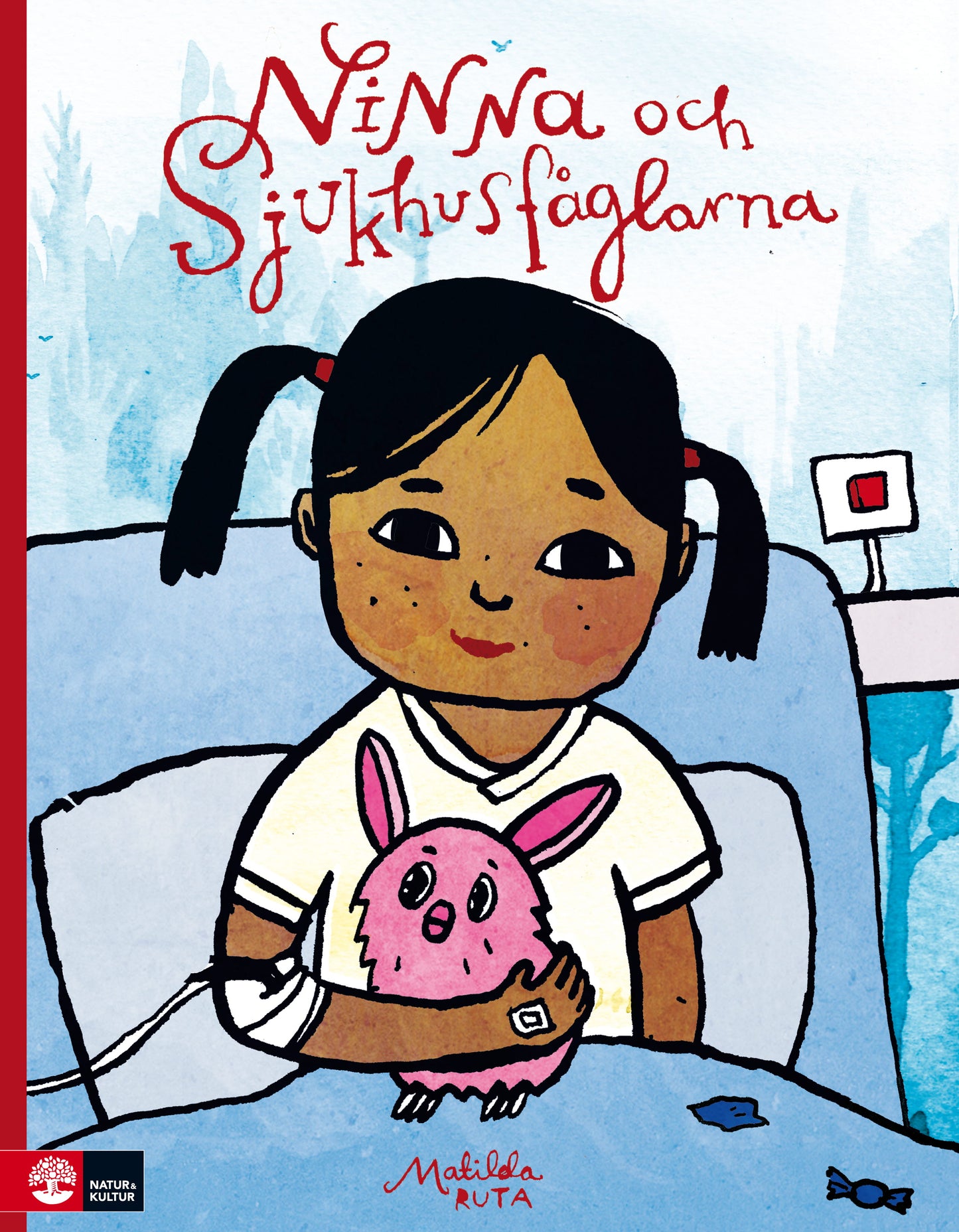 Ninna och sjukhusfåglarna – E-bok