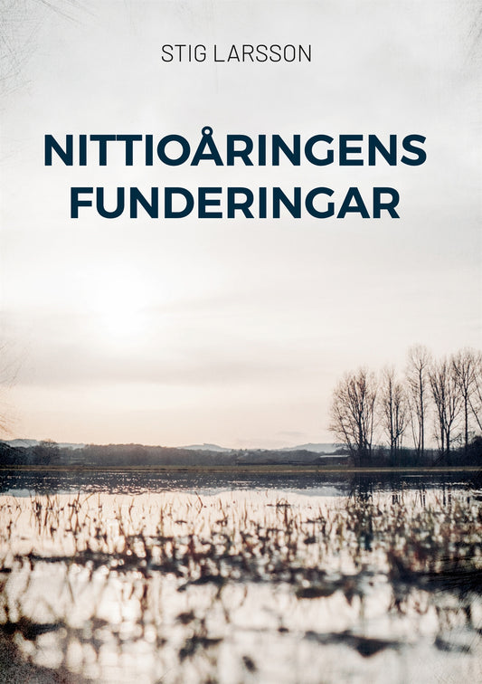 Nittioåringens funderingar – E-bok