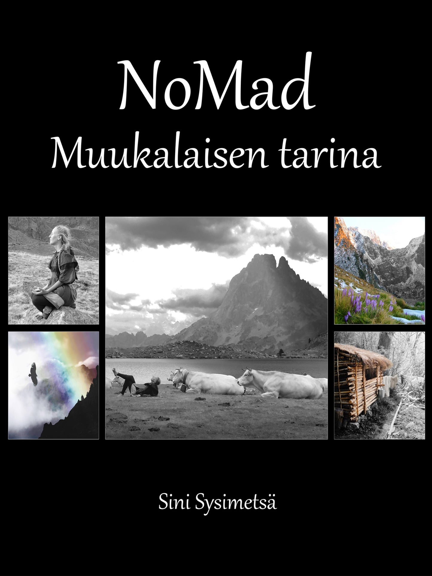 NoMad: Muukalaisen tarina – E-bok