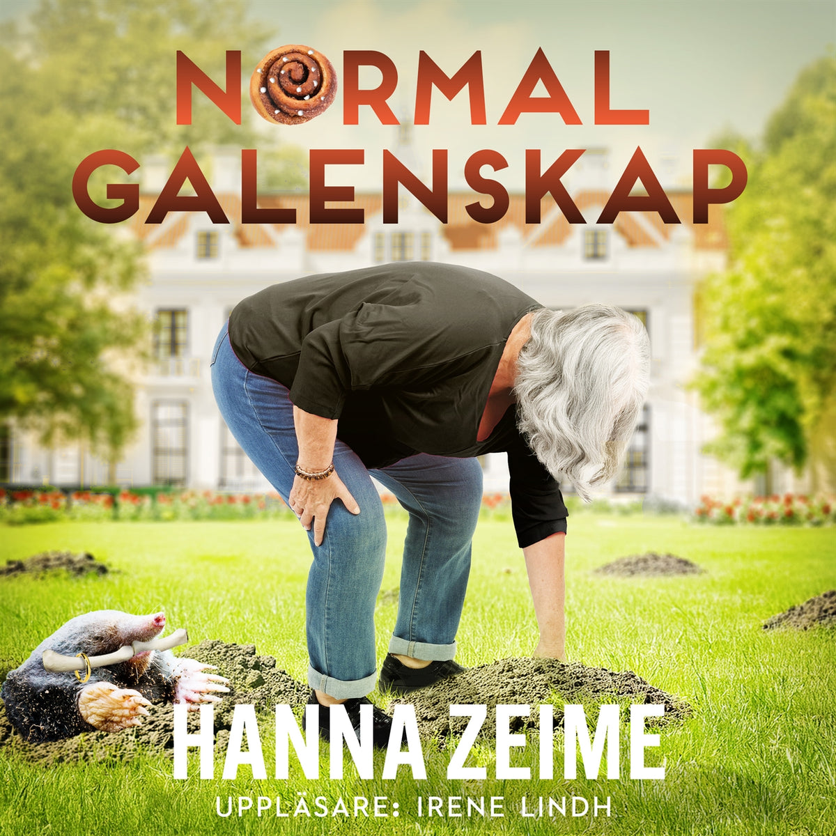 Normal galenskap – Ljudbok