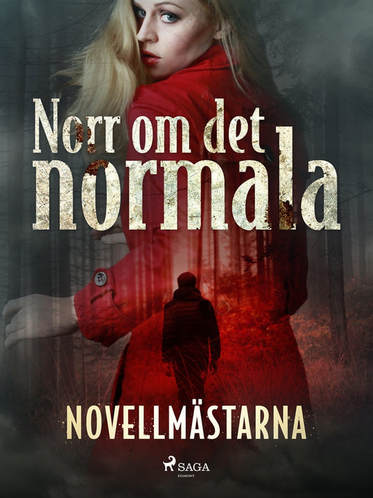 Norr om det normala – E-bok