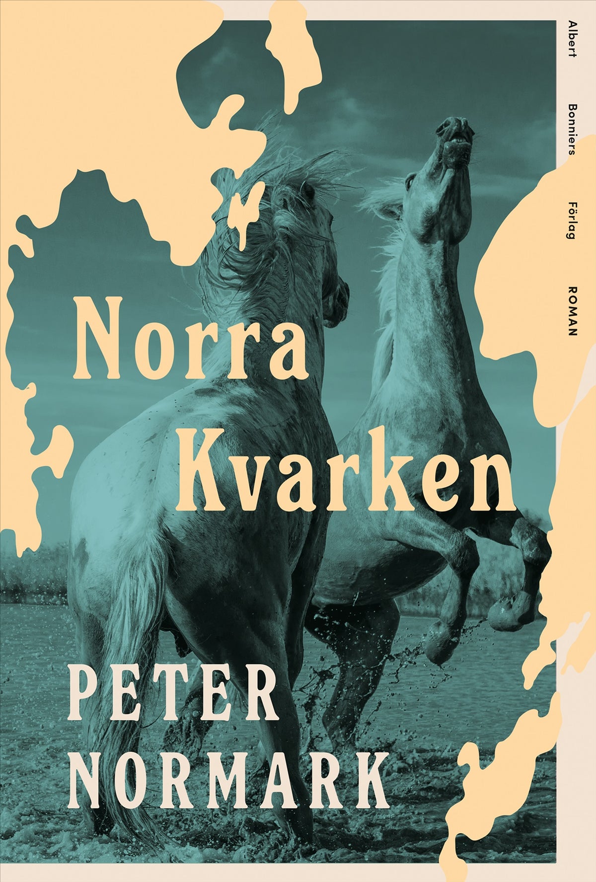 Norra Kvarken – E-bok