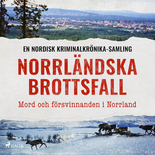 Norrländska brottsfall – Mord och försvinnanden i Norrland – Ljudbok