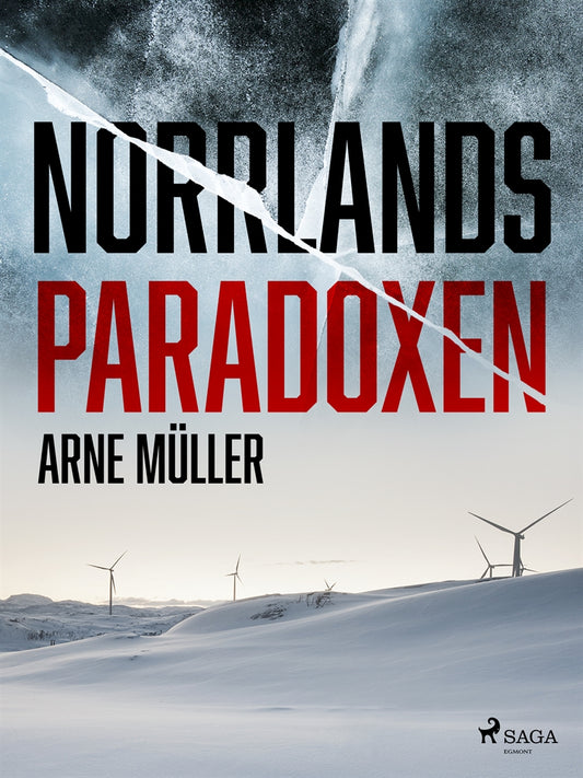 Norrlandsparadoxen – E-bok