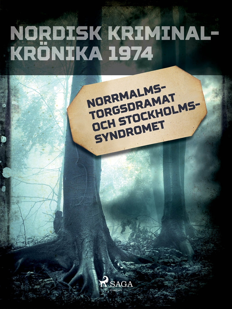 Norrmalmstorgsdramat och stockholmssyndromet – E-bok