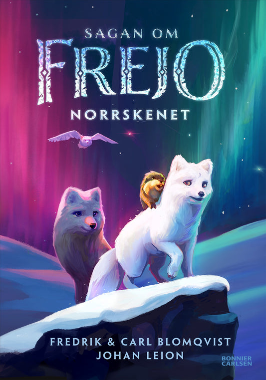 Norrskenet – E-bok