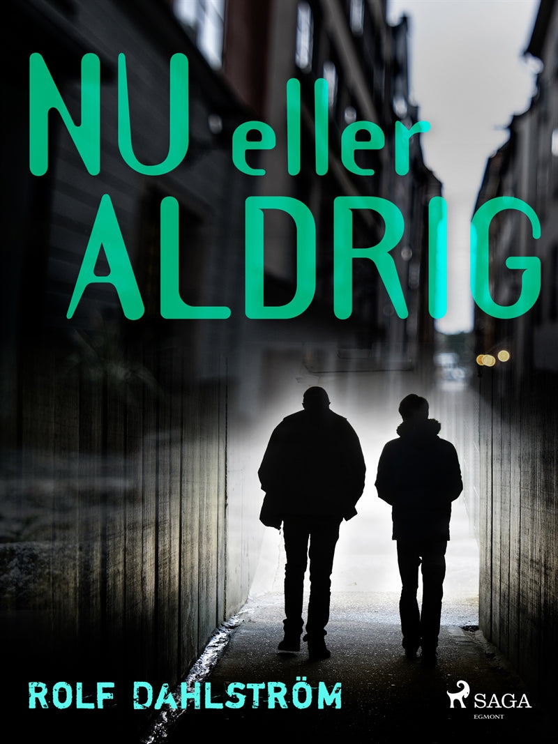 Nu eller aldrig – E-bok