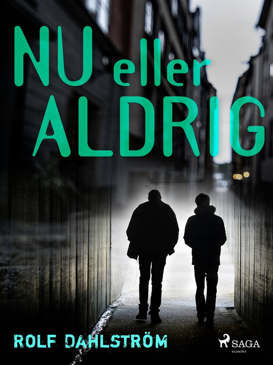 Nu eller aldrig – E-bok