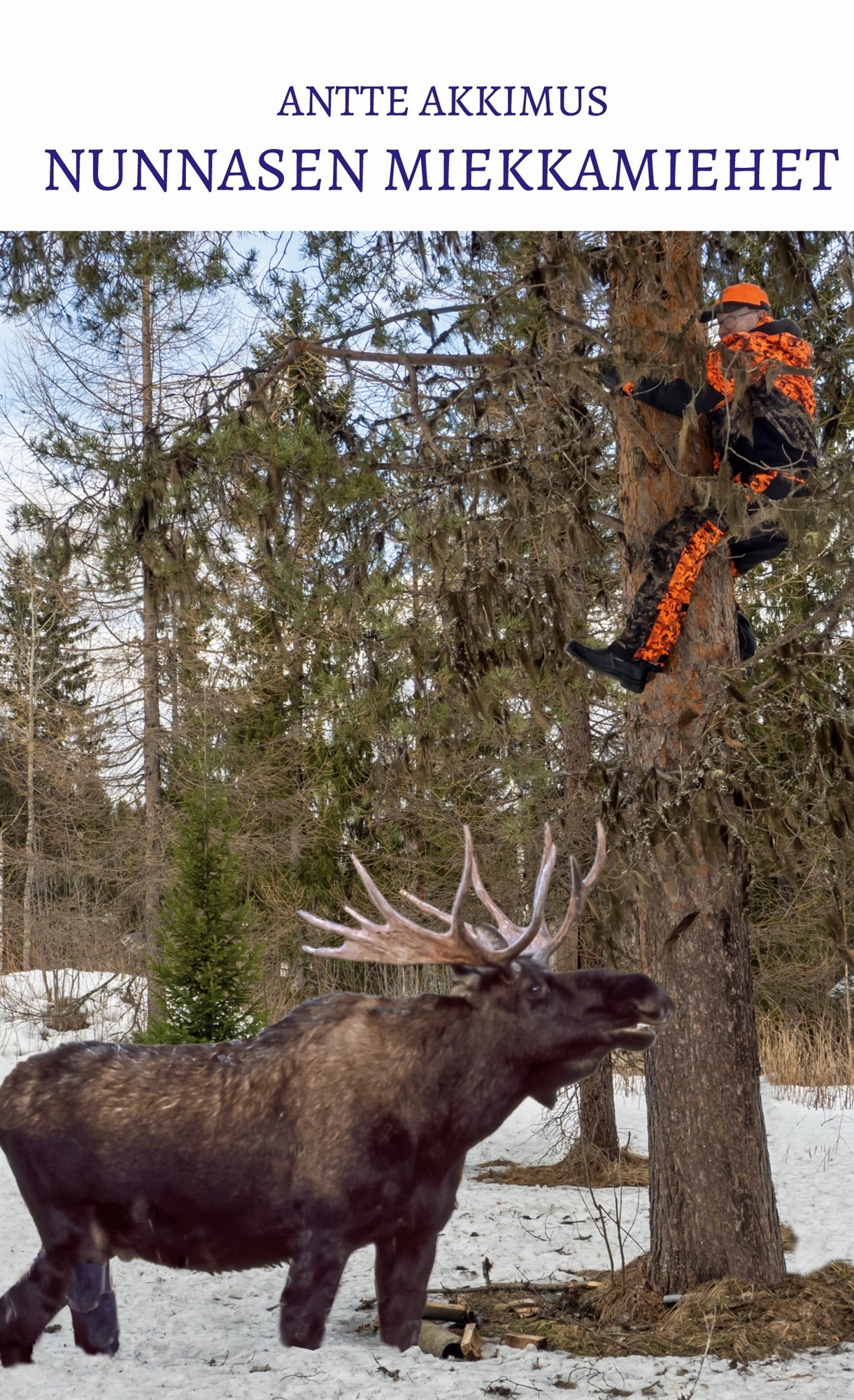 Nunnasen miekkamiehet – E-bok