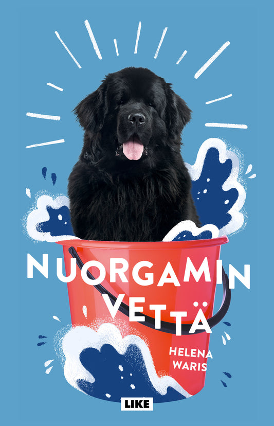 Nuorgamin vettä – E-bok