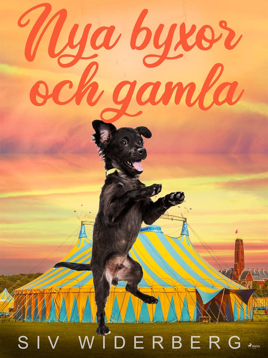Nya byxor och gamla – E-bok