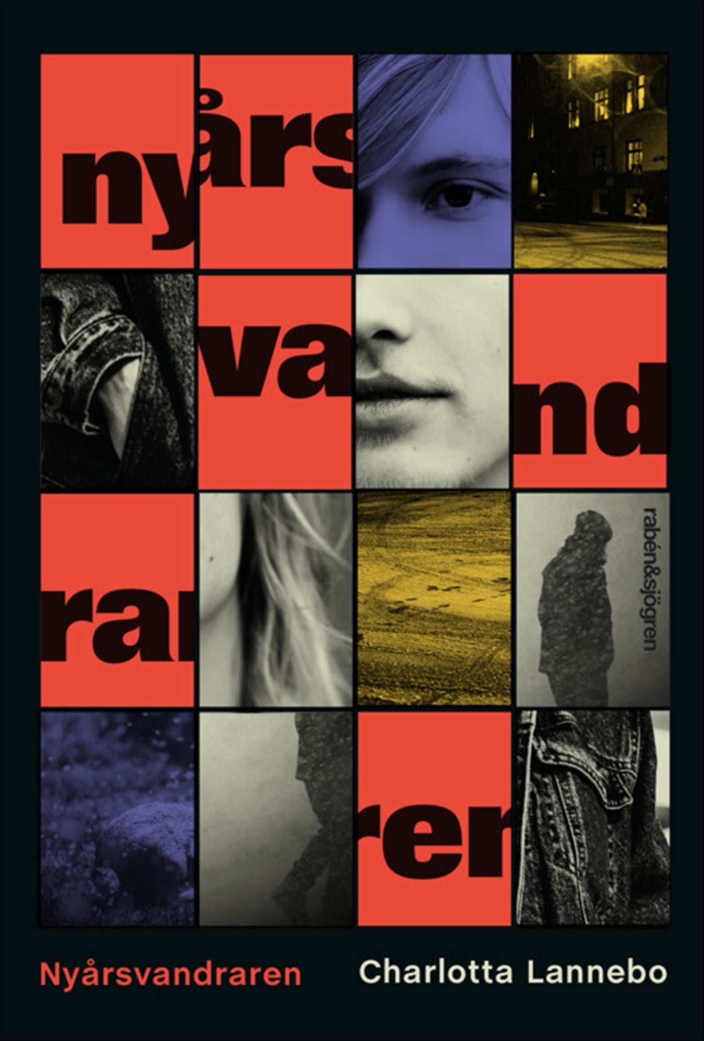 Nyårsvandraren – E-bok