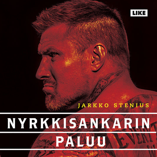 Nyrkkisankarin paluu – Ljudbok