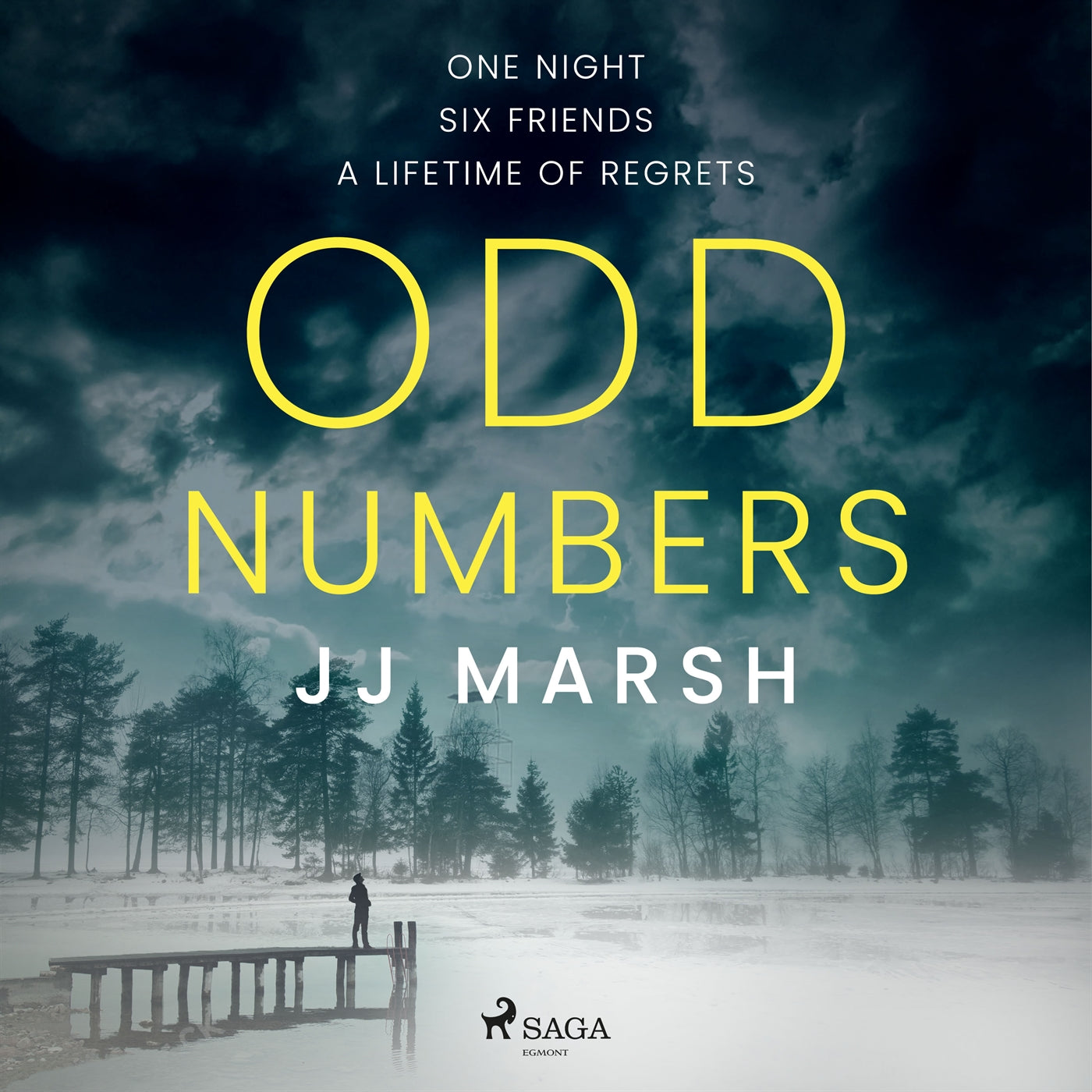 Odd Numbers – Ljudbok