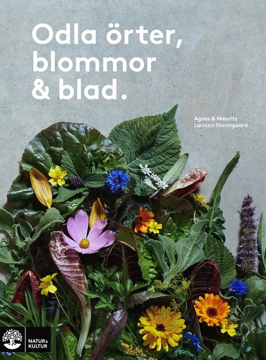 Odla örter, blommor & blad – E-bok