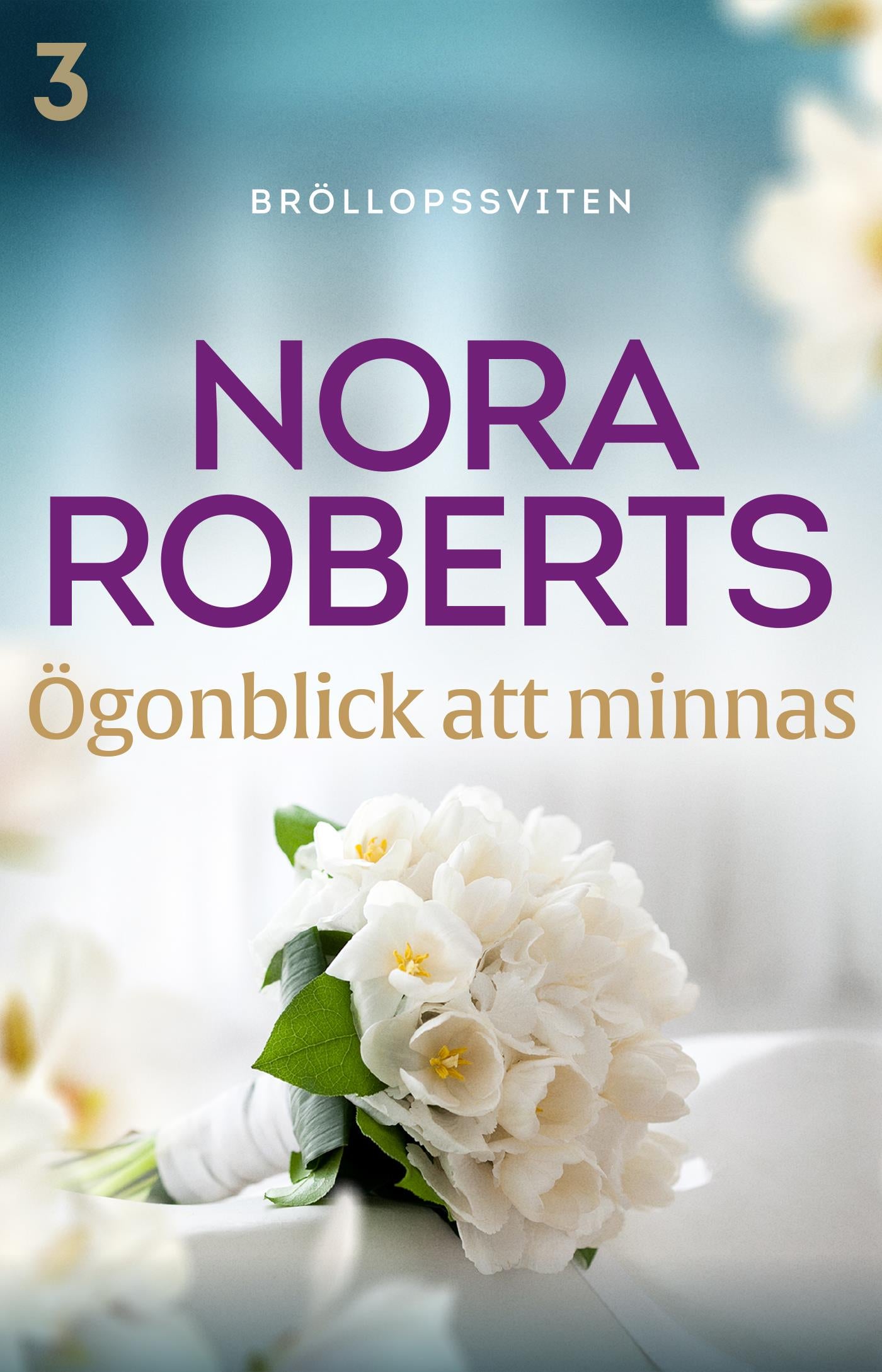 Ögonblick att minnas – E-bok
