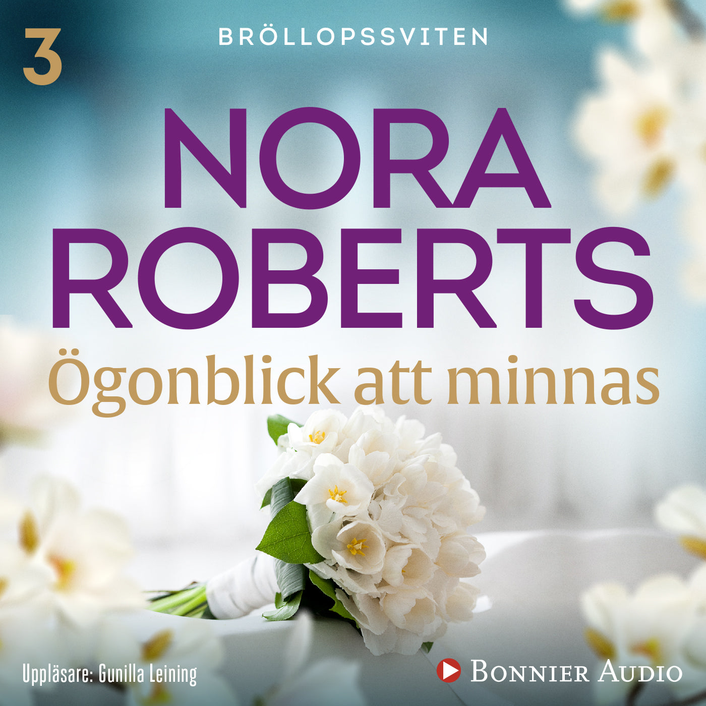 Ögonblick att minnas – Ljudbok
