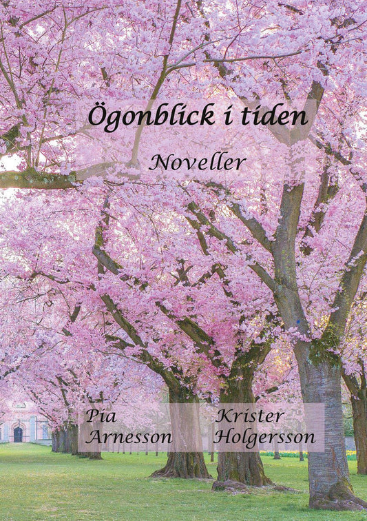 Ögonblick i tiden: Noveller – E-bok