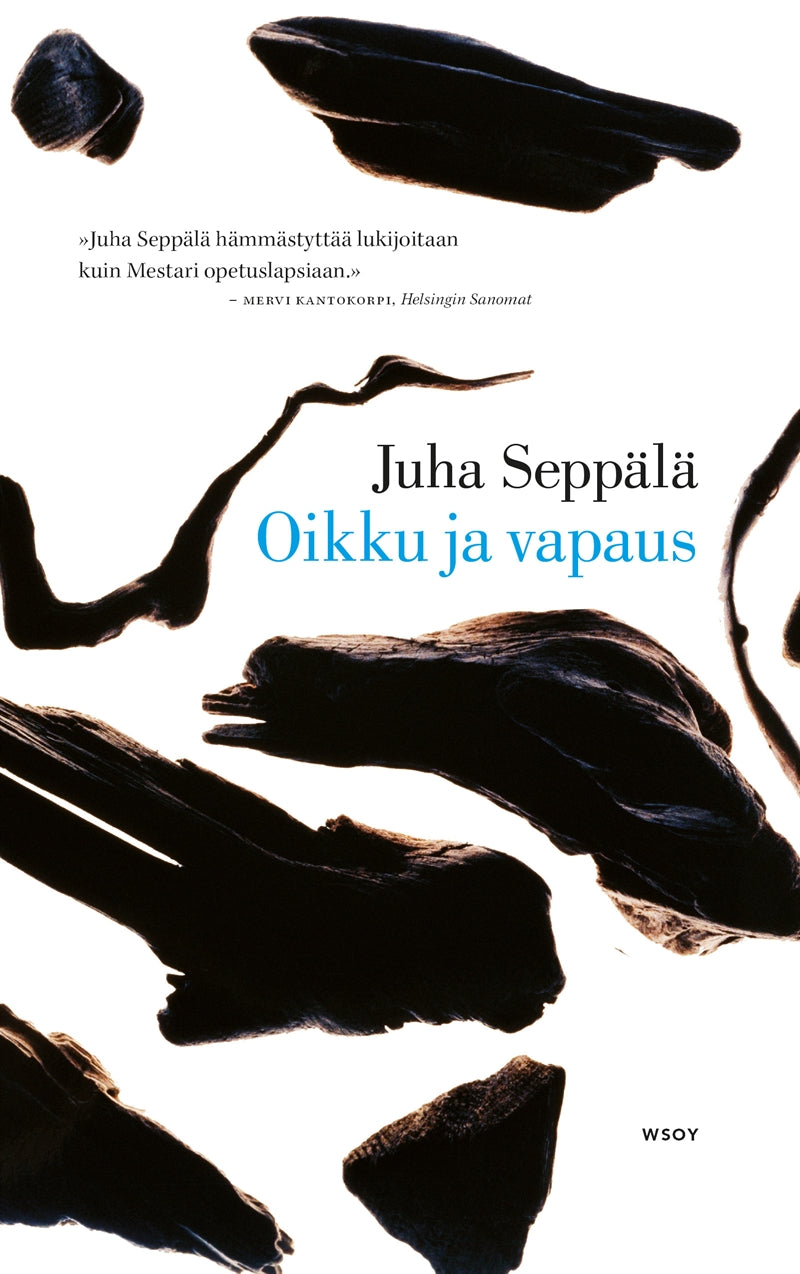 Oikku ja vapaus – E-bok