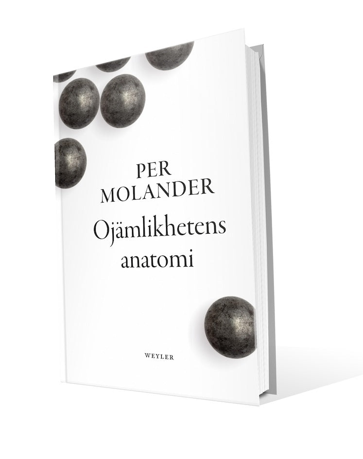 Ojämlikhetens anatomi – E-bok