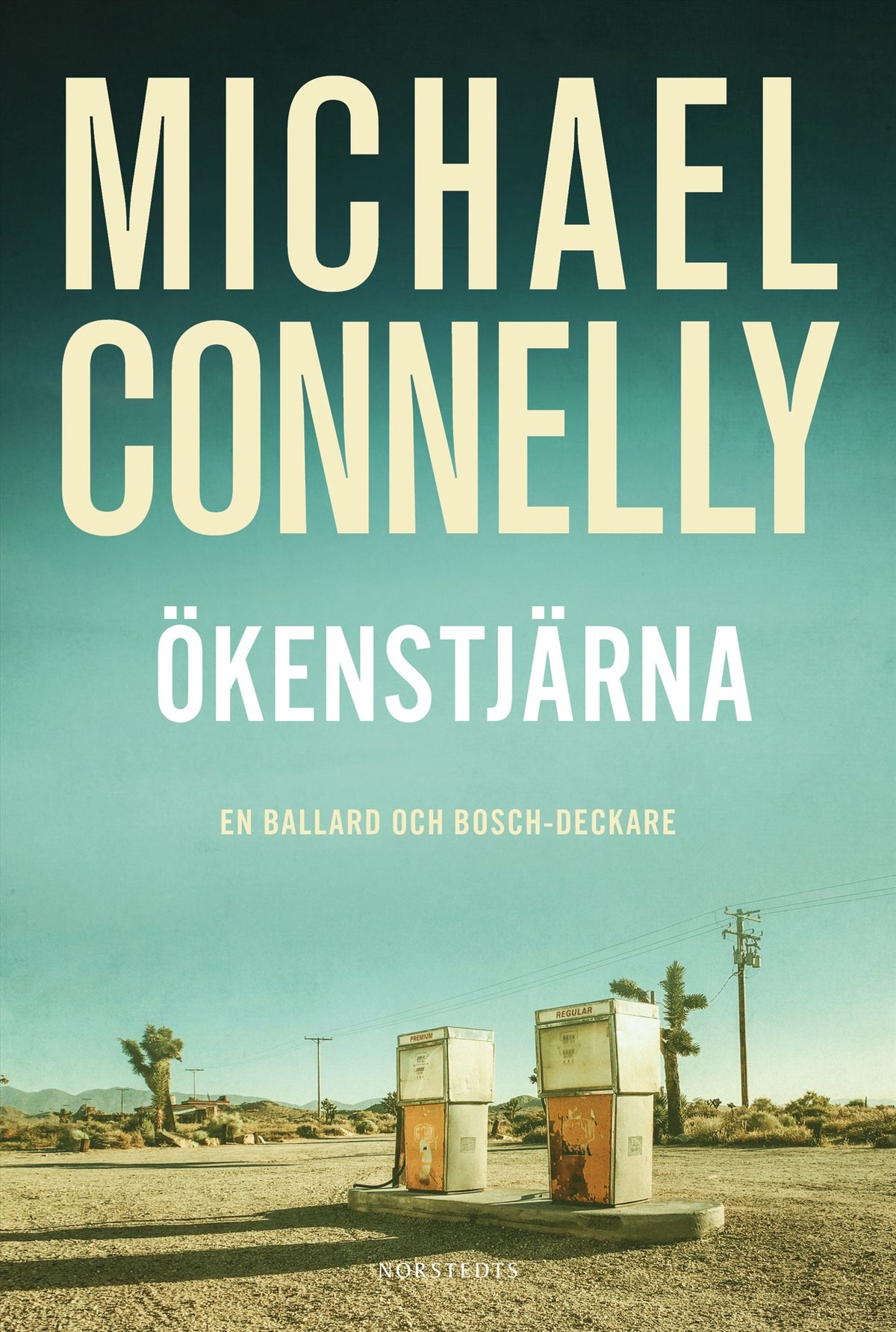 Ökenstjärna – E-bok