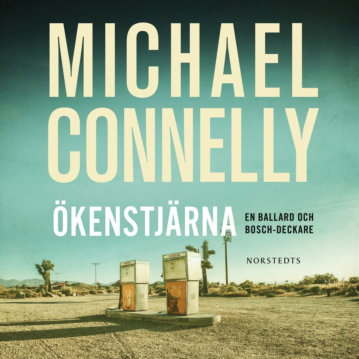 Ökenstjärna – Ljudbok