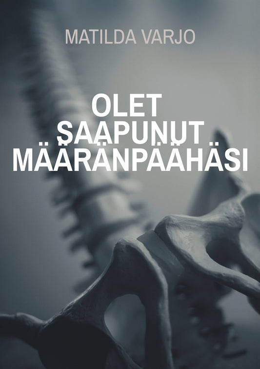 Olet saapunut määränpäähäsi – E-bok