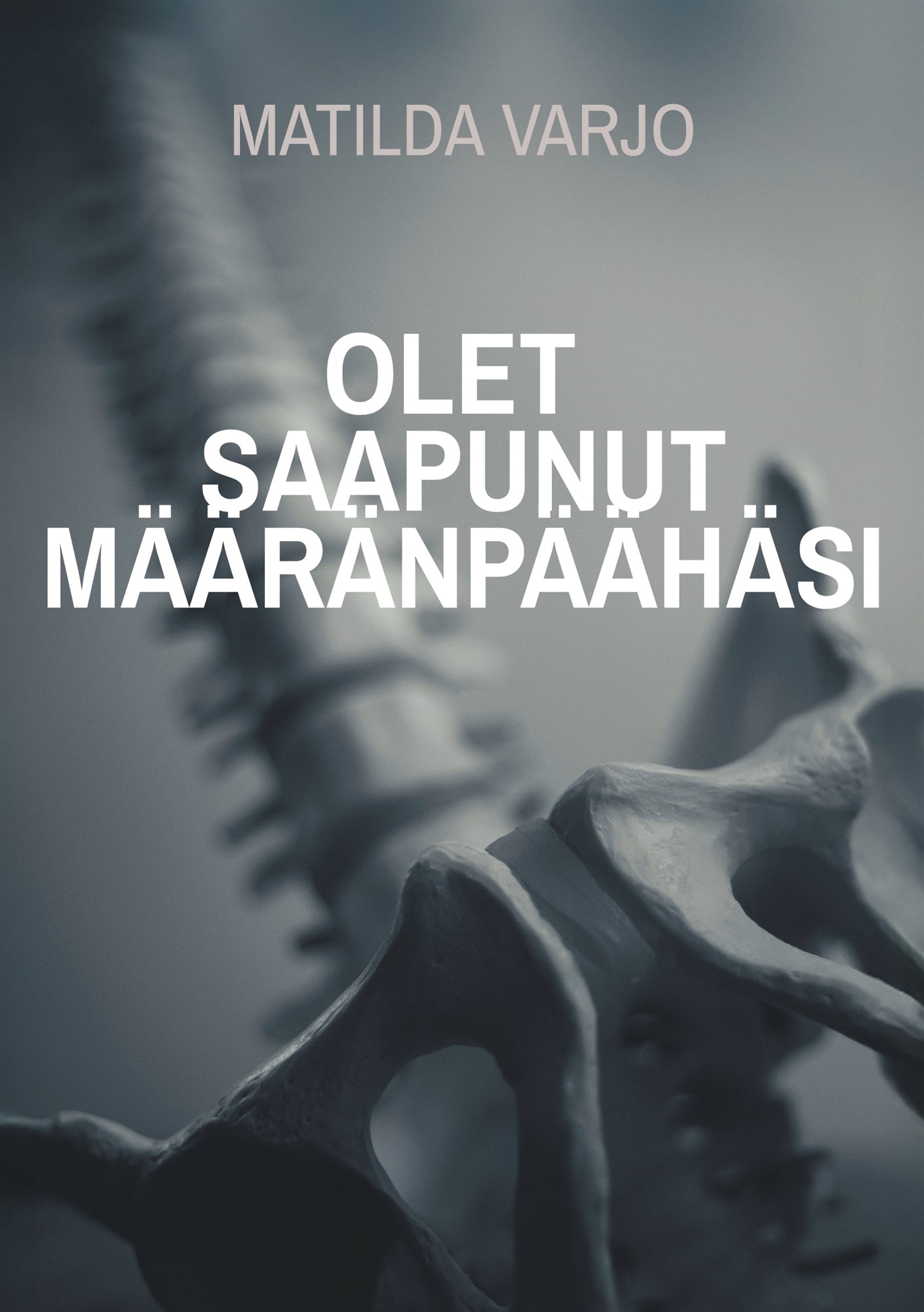 Olet saapunut määränpäähäsi – E-bok