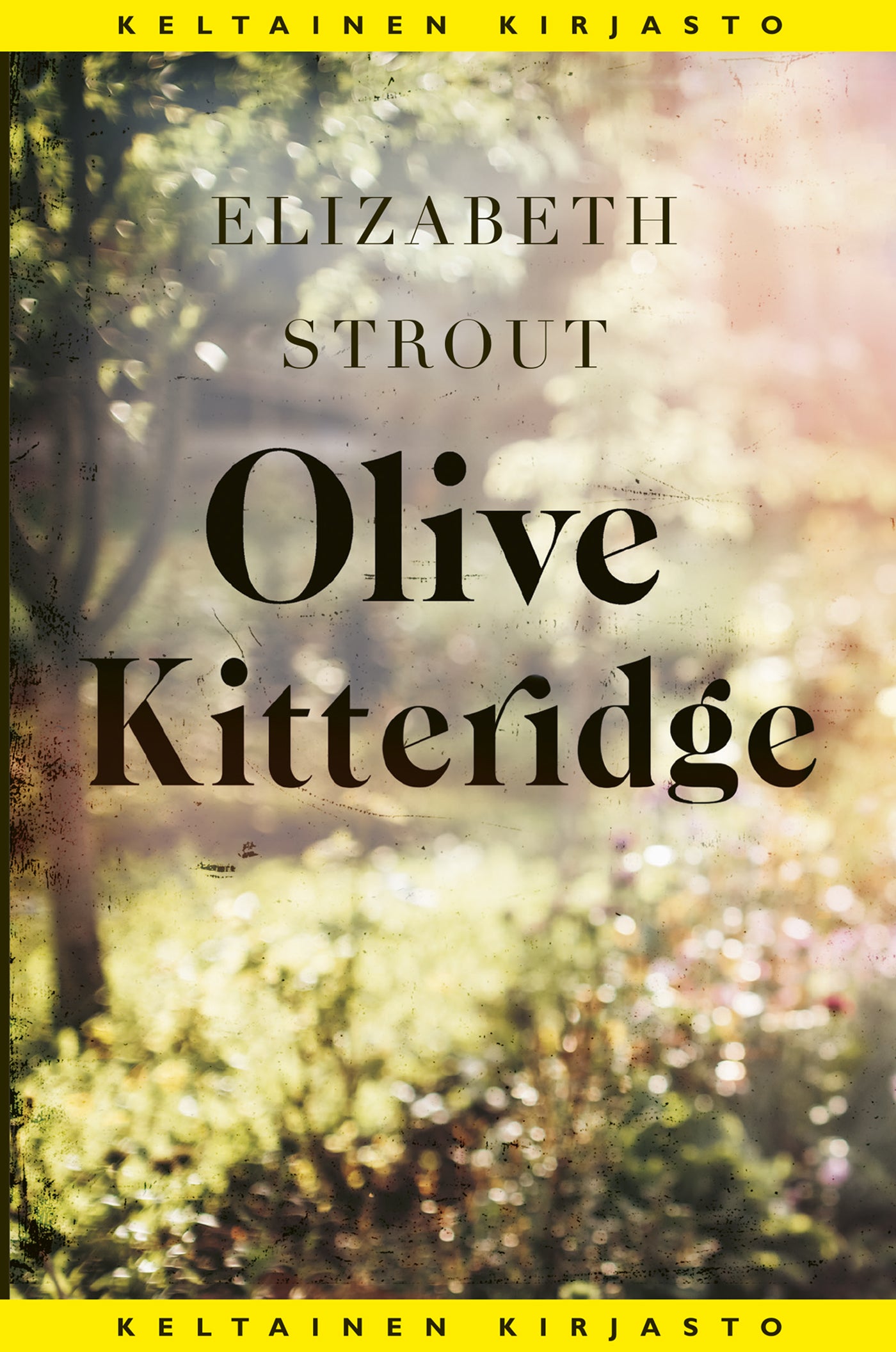 Olive Kitteridge – E-bok