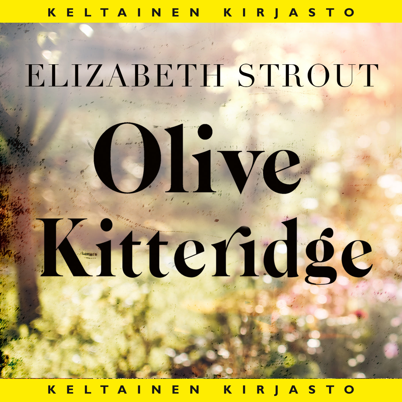 Olive Kitteridge – Ljudbok