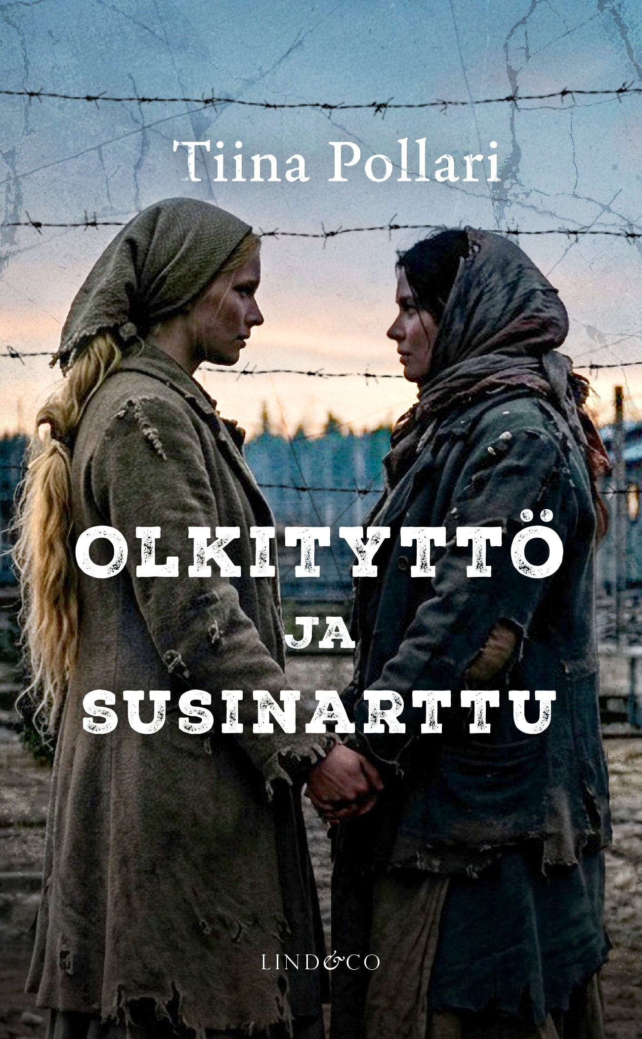 Olkityttö ja susinarttu – E-bok