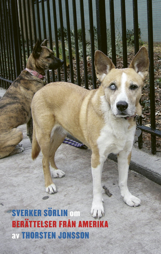 Om Berättelser från Amerika av Thorsten Jonsson – E-bok