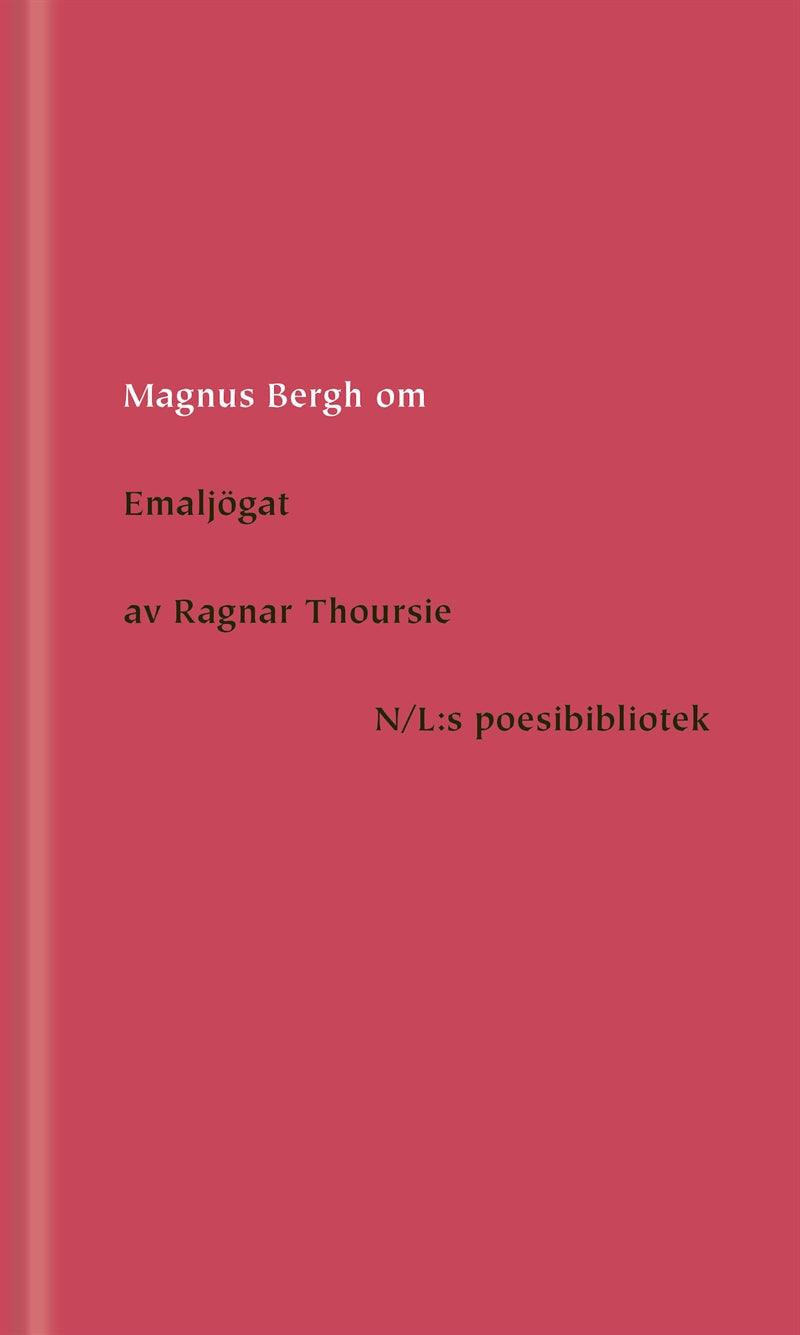 Om Emaljögat av Ragnar Thoursie – E-bok