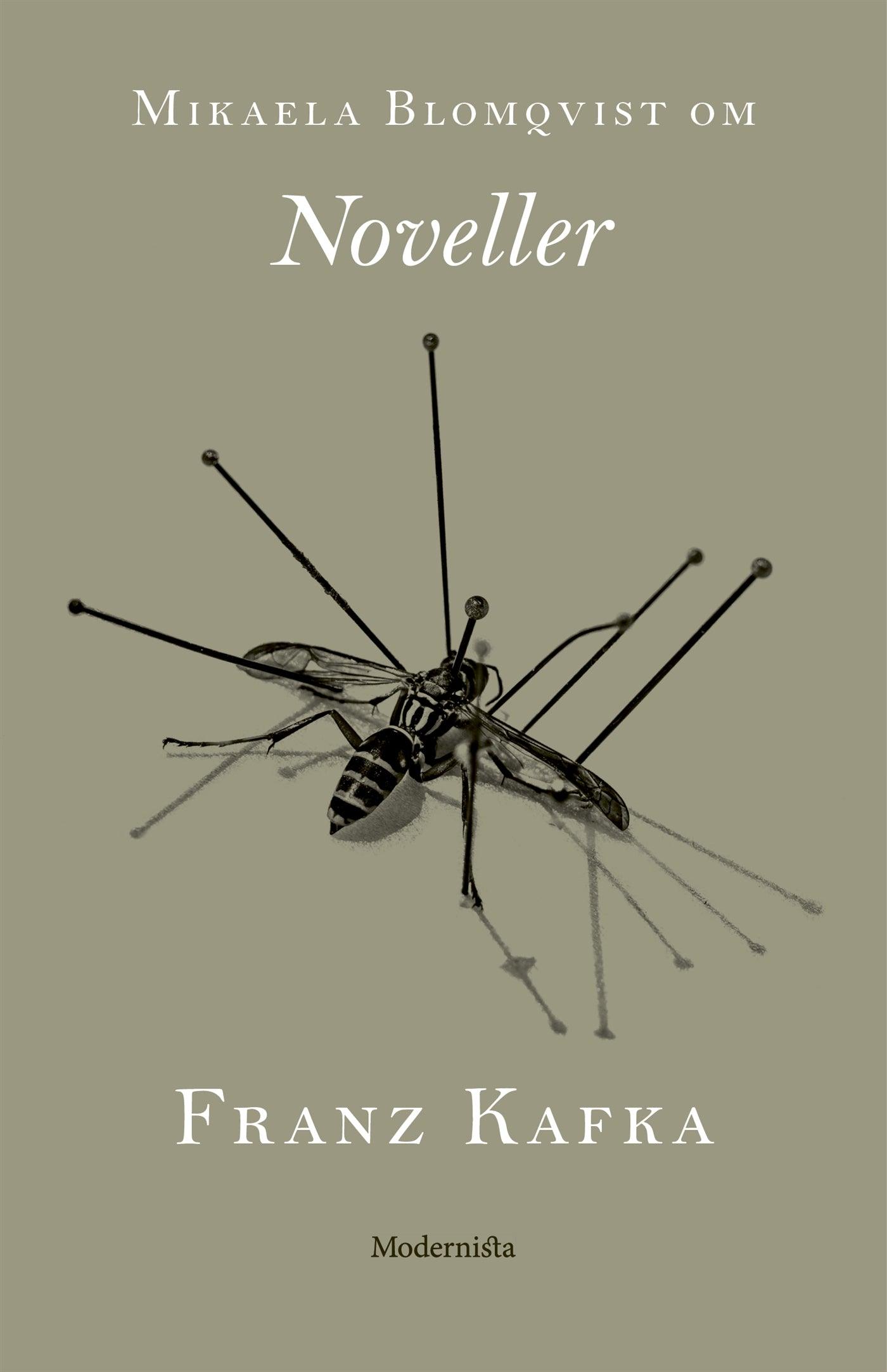 Om Noveller av Franz Kafka – E-bok