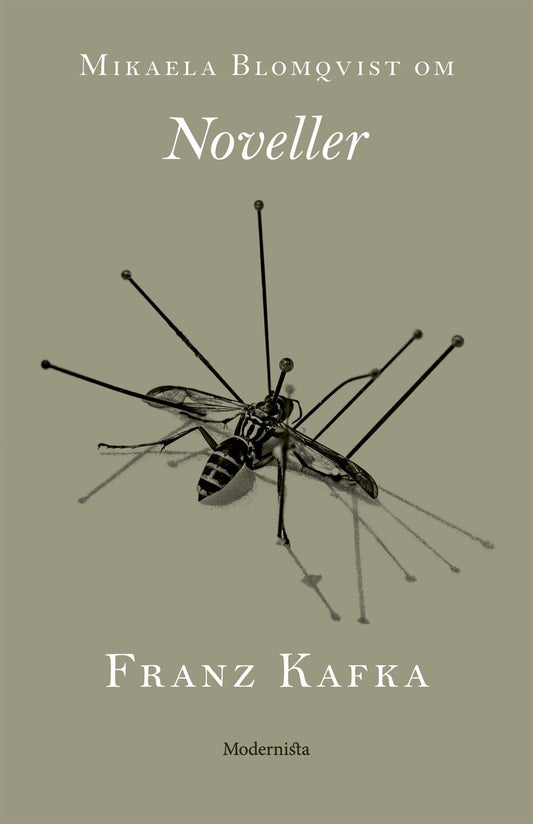 Om Noveller av Franz Kafka – E-bok