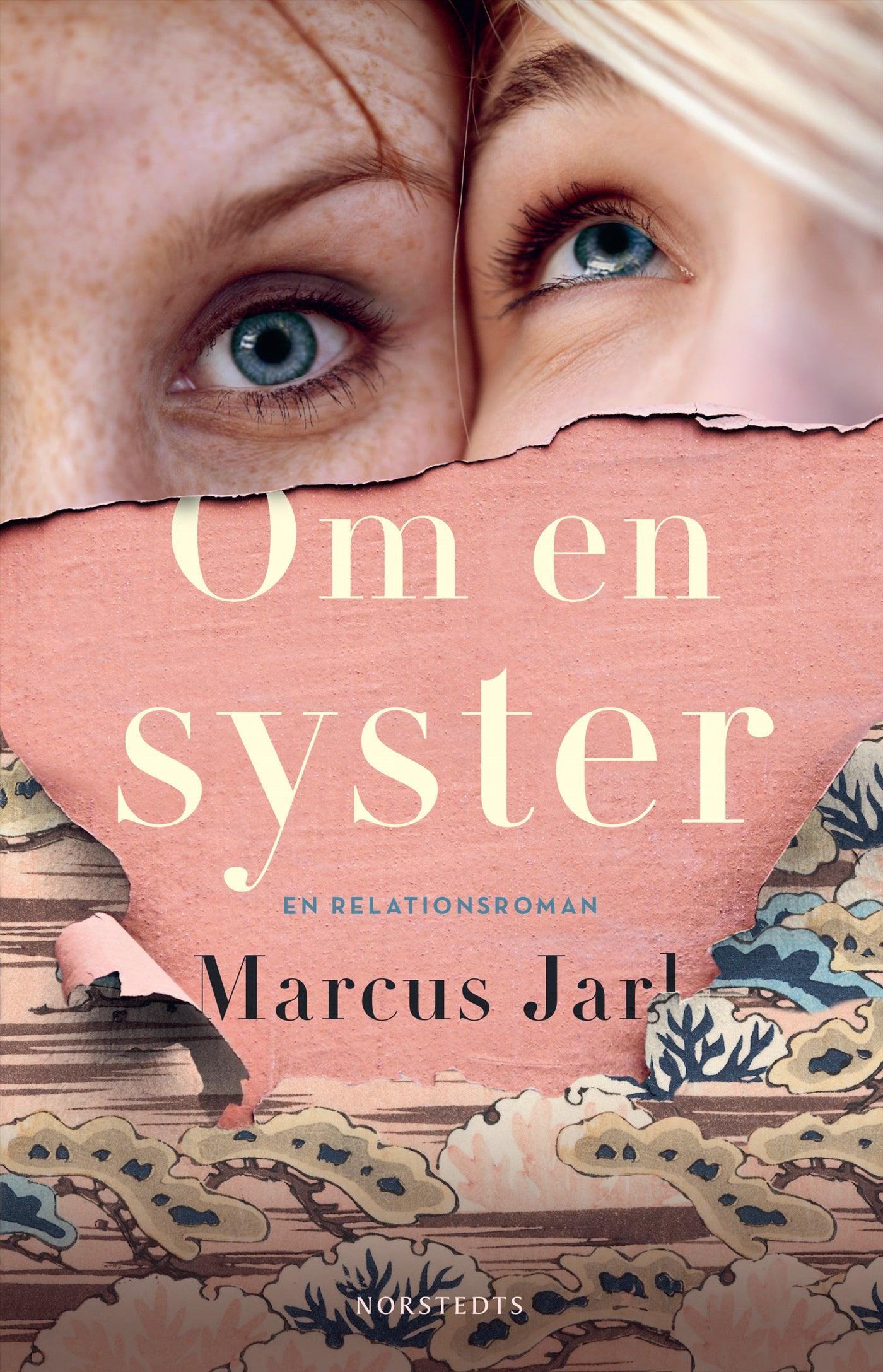 Om en syster – E-bok