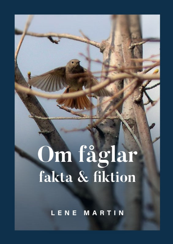 Om fåglar, fakta & fiktion – E-bok