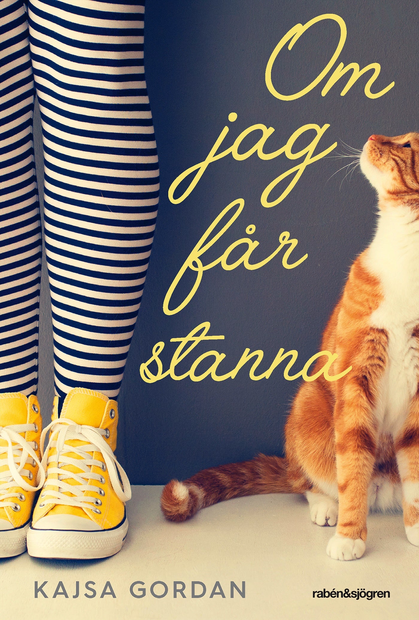 Om jag får stanna – E-bok