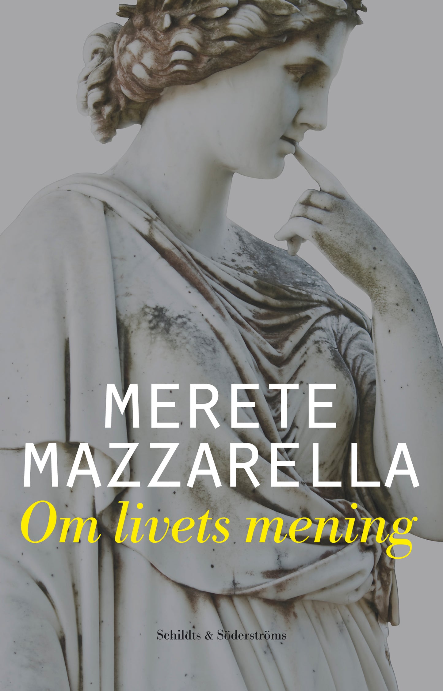 Om livets mening – E-bok