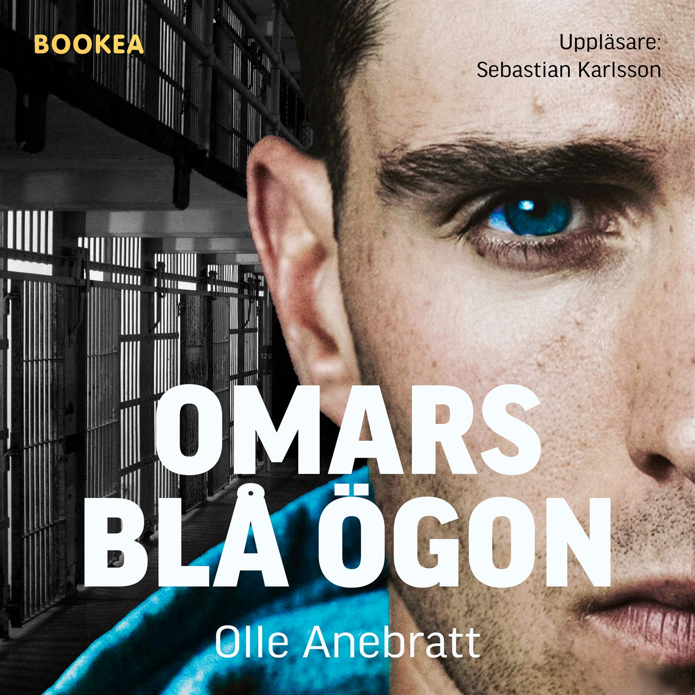 Omars blå ögon : en malmöhäktestriologi – Ljudbok